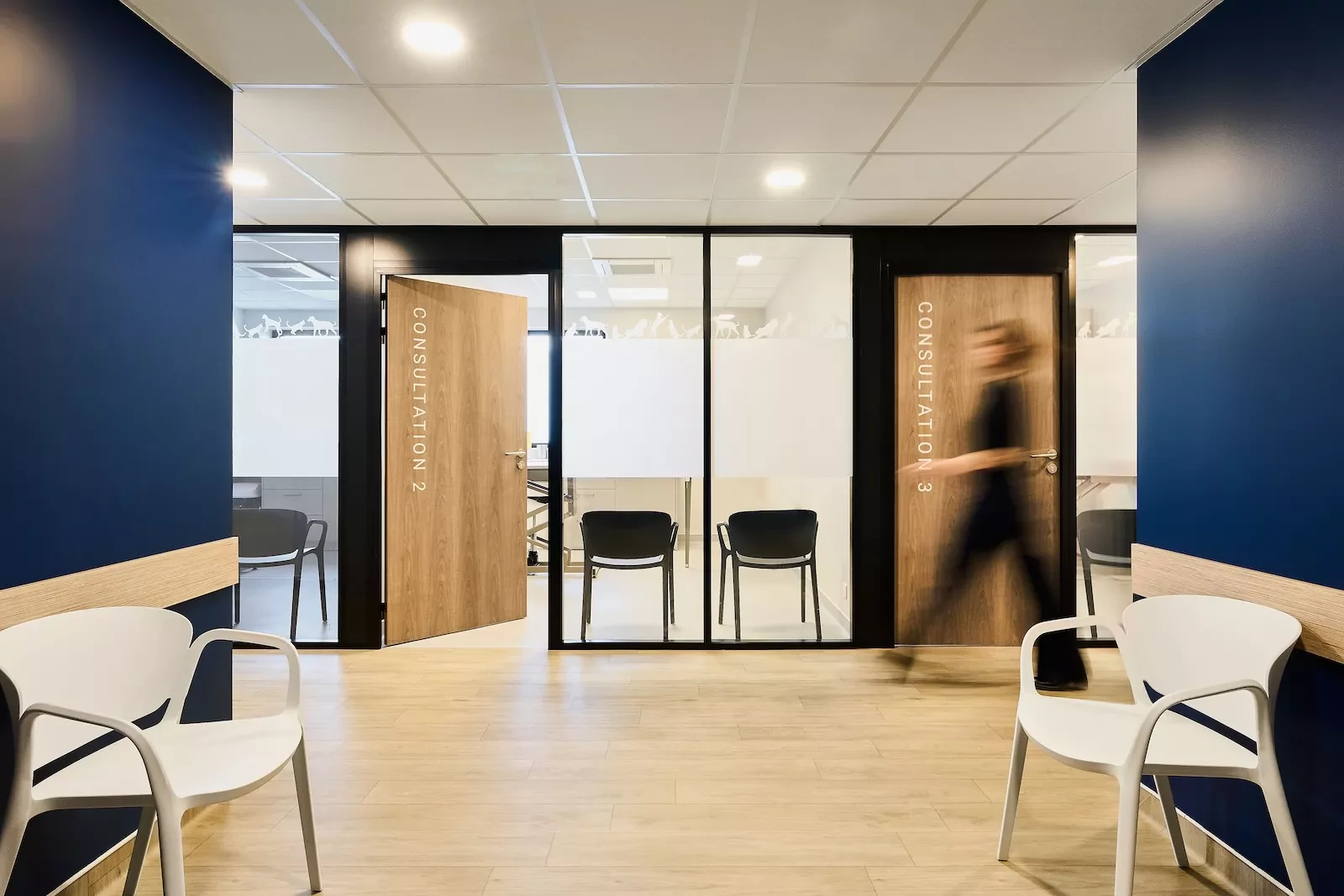 Hopital vétérinaire Synervet — Le Havre